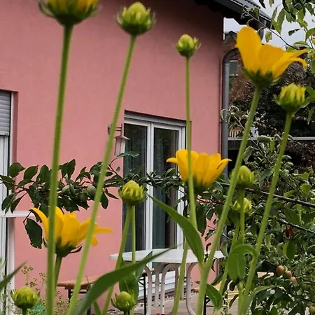 Ludolf Haus * Munster (North Rhine-Westphalia)